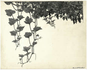 Visualizza l'immagine "FD D 2776"